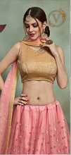 Load image into Gallery viewer, Embellished Net Lehenga in Pink