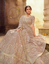 Load image into Gallery viewer, Light Brown Embroidered Georgette Lehenga Choli With Dupatta
